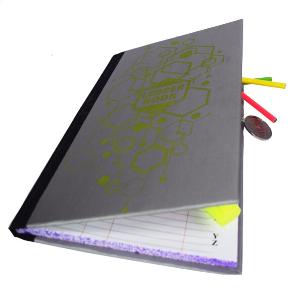Accounting ledger book, daily finance tracker, small business ledger